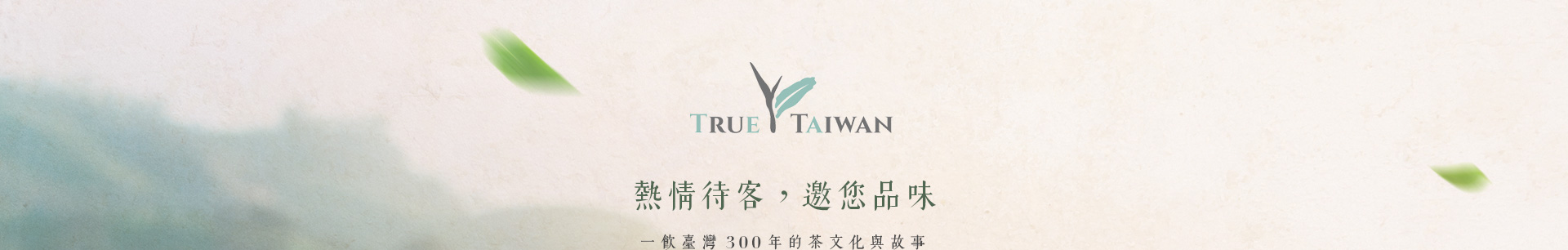 truetaiwan_portfolio_01