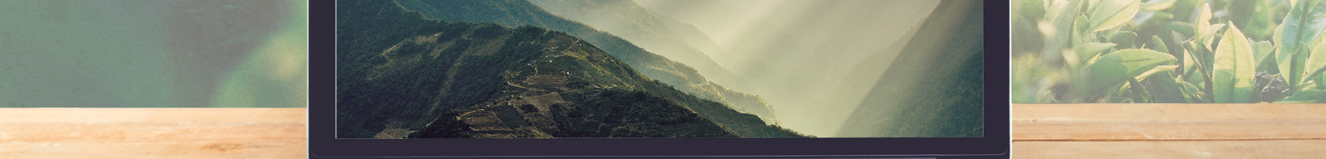 truetaiwan_portfolio_04