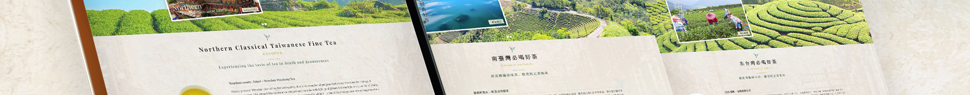 truetaiwan_portfolio_11