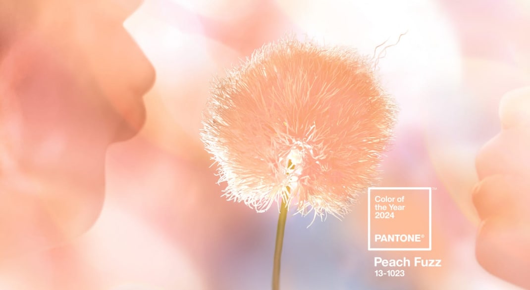探索Pantone 2025年度代表色協助你尋找網站設計靈感 - 2024年Peach Fuzz柔合桃